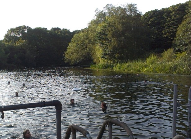 The ladies' pond on Hampstead Heath